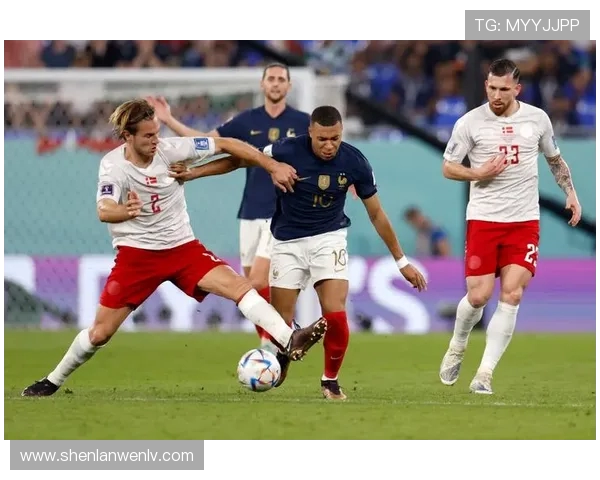 2018年世界杯小组赛丹麦对法国精彩战绩回顾与分析